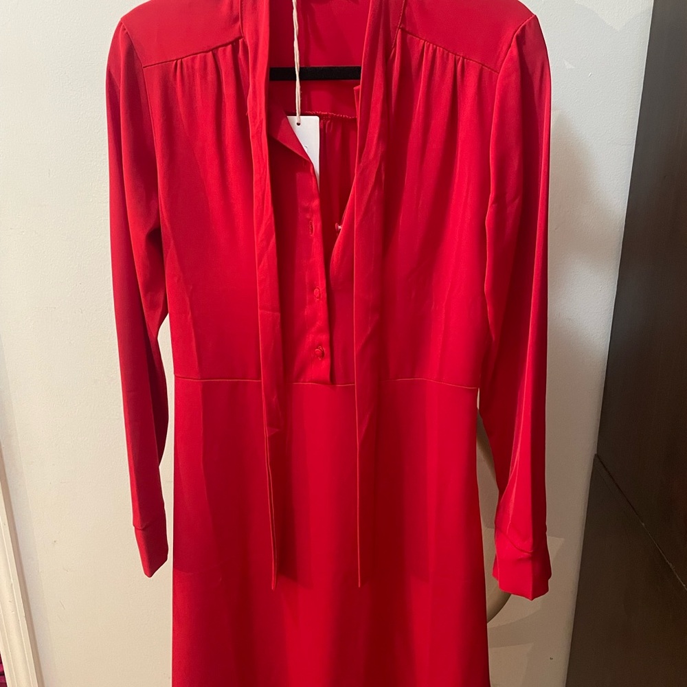 Beautiful red dress.